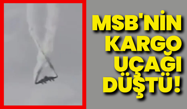 MSB'nin kargo uçağı Gürcistan-Azerbaycan sınırında düştü!