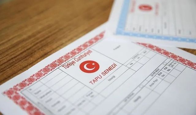 Pembe mi, mavi mi? Tapunuzun rengi taşınmaz hakkında ipucu veriyor