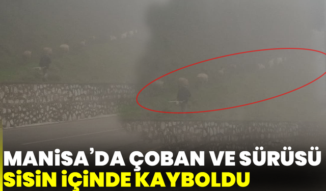 Manisa’da çoban ve sürüsü sisin içinde kayboldu