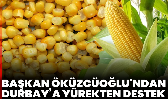 Destekler Kesildi, Çiftçi Zorda: ‘Mısırın Alternatifi Yok’