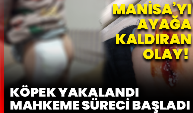Manisa’yı ayağa kaldıran olay! Çocuklara Saldıran Köpek Yakalandı, Mahkeme Süreci Başladı