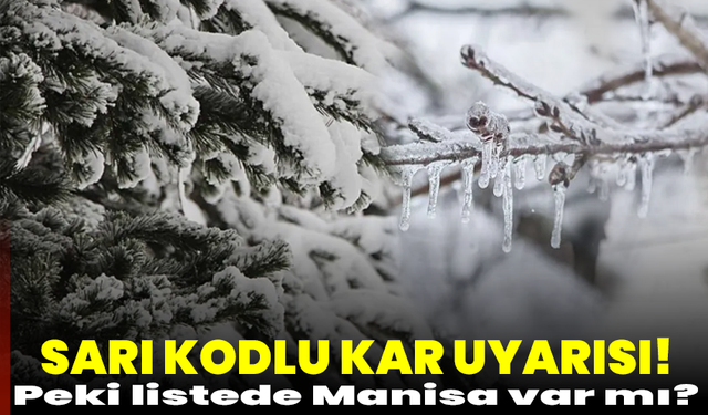 Sarı kodlu kar uyarısı verildi! Peki listede Manisa var mı?