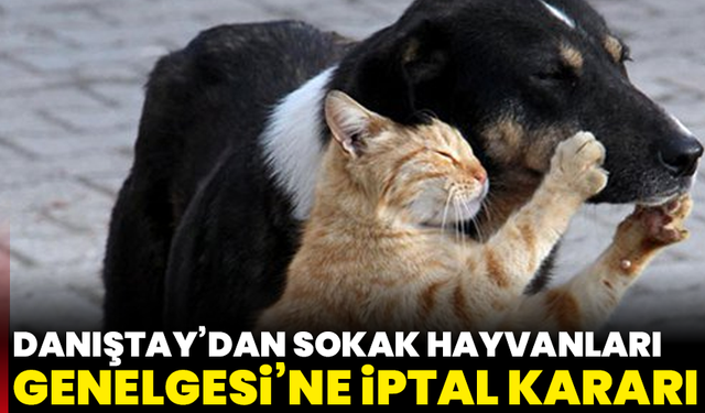 Danıştay’dan Sokak Hayvanları Genelgesi’ne İptal Kararı