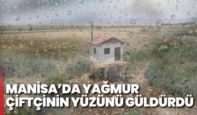 Manisa’da Yağmur Çiftçinin Yüzünü Güldürdü