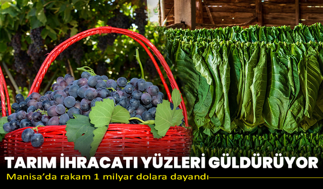 Tarım ihracatı yüzleri güldürüyor: Manisa’da rakam 1 milyar dolara dayandı