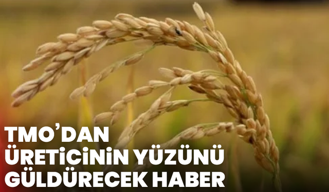 TMO’dan üreticinin yüzünü güldürecek haber