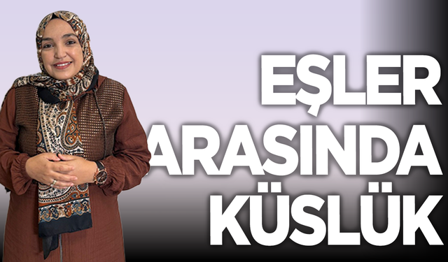 Eşler Arasında Küslük