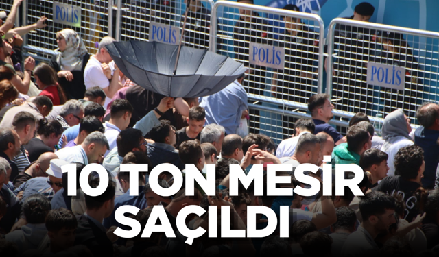 Manisa’da Mesir Saçımı Yapıldı: 10 Ton Mesir Dakkilar İçinde Bitti