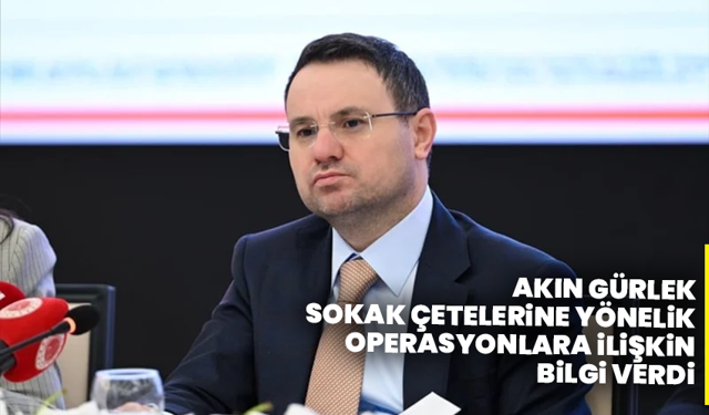 Sokak çetelerine darbe: 8 ilde operasyon