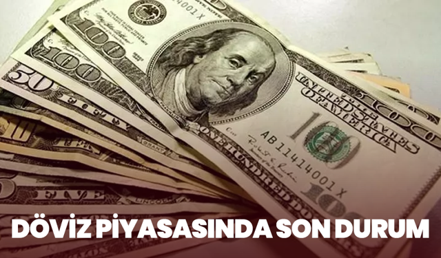 Döviz Piyasasında Son Durum