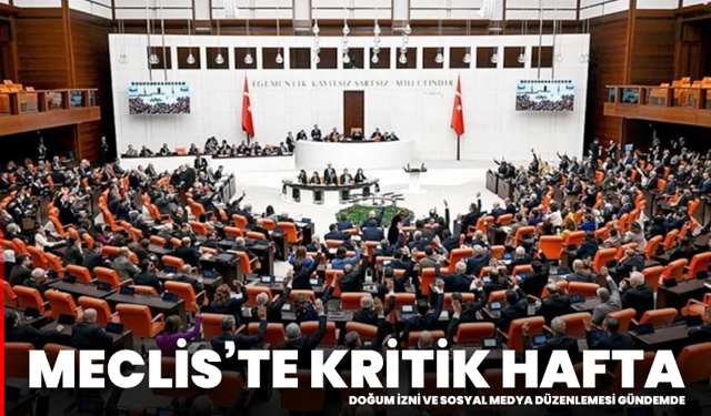 Meclis’te kritik hafta: Doğum izni ve sosyal medya düzenlemesi gündemde