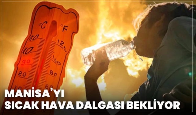 ANA MANŞET