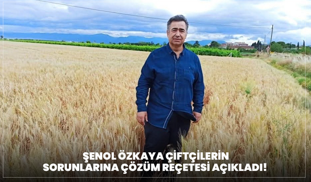 ANA MANŞET