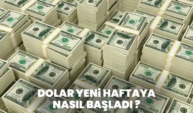 Dolar ve Euro haftaya yükselişle başladı