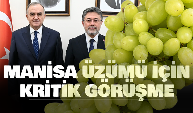 Akçay, Üzüm Üreticilerinin Taleplerini Bakan Yumaklı'ya İletti