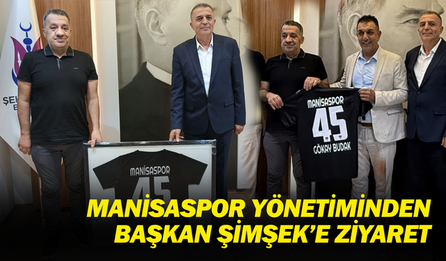 ANA MANŞET