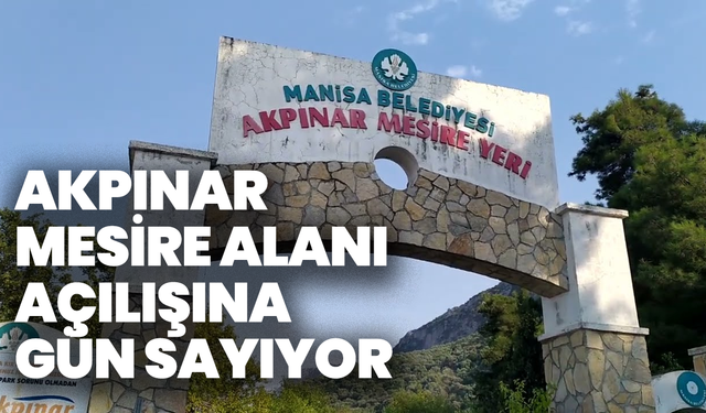 ANA MANŞET