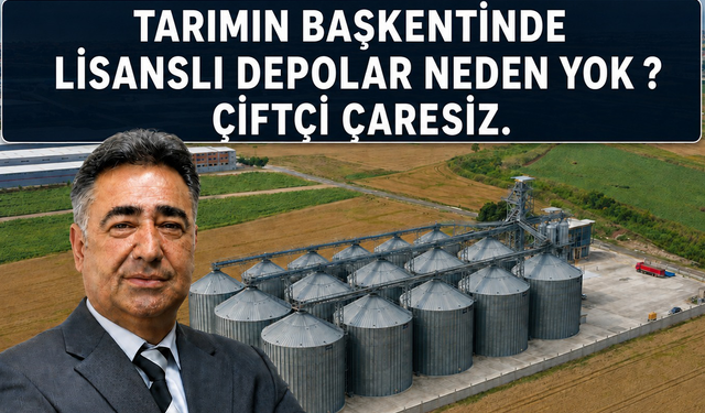 ANA MANŞET