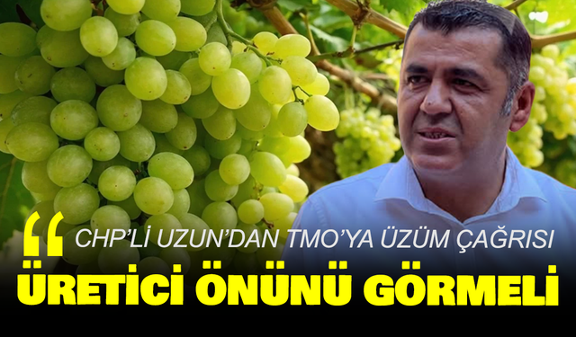 CHP’li Uzun’dan TMO’ya üzüm çağrısı: Üretici önünü görmeli