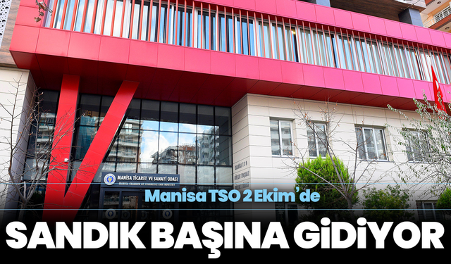 ANA MANŞET