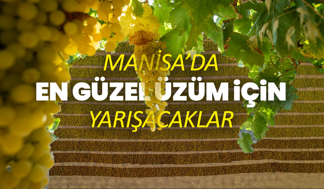ANA MANŞET