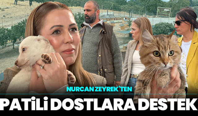 ANA MANŞET