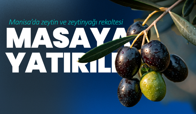 ANA MANŞET
