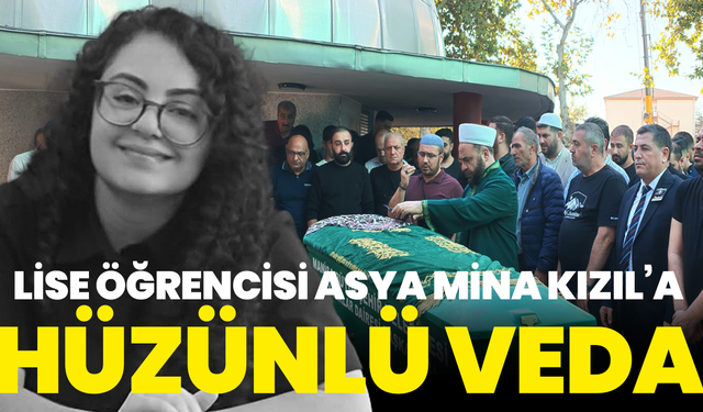 ANA MANŞET