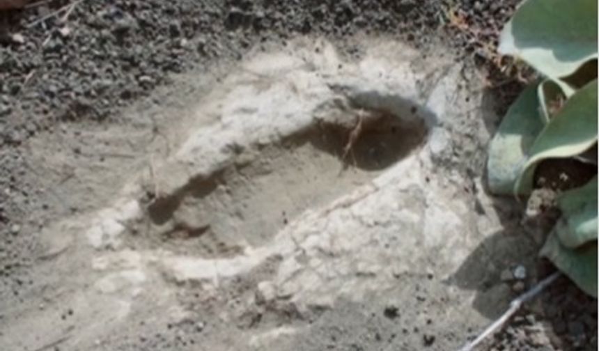 Dünya tarihi Manisa’da şekilleniyor En eski ayak izleri o ilçede bulunuyor!