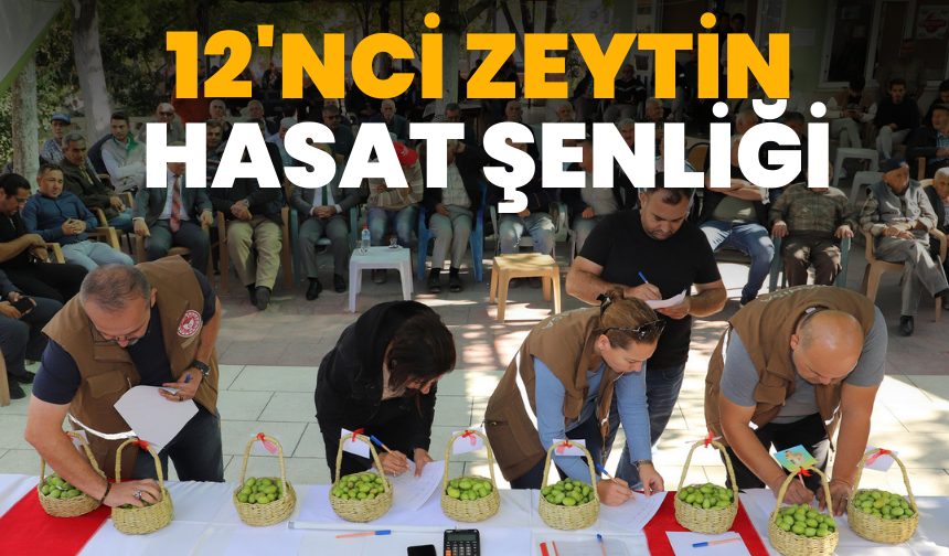 12.Zeytin Hasat Şenliği