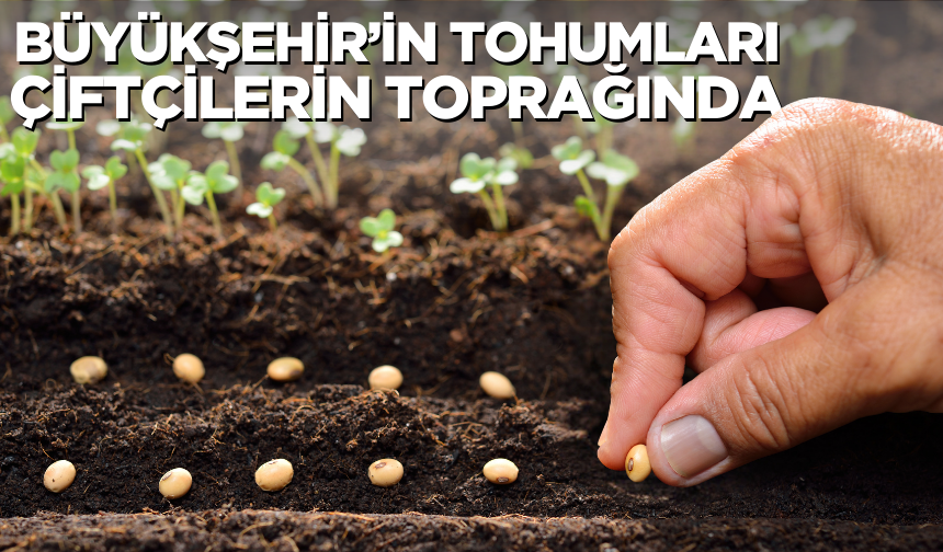 Büyükşehir’in Tohumları Çiftçilerin Toprağıyla Buluştu