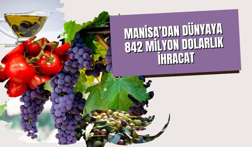 Manisa’dan Dünyaya 842 Milyon Dolarlık İhracat