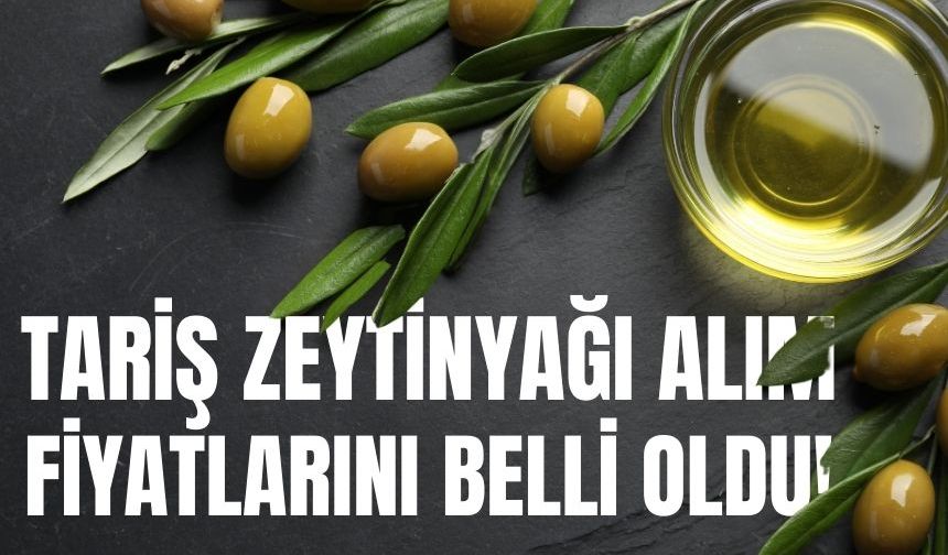 TARİŞ zeytinyağı alım fiyatlarını belli oldu!