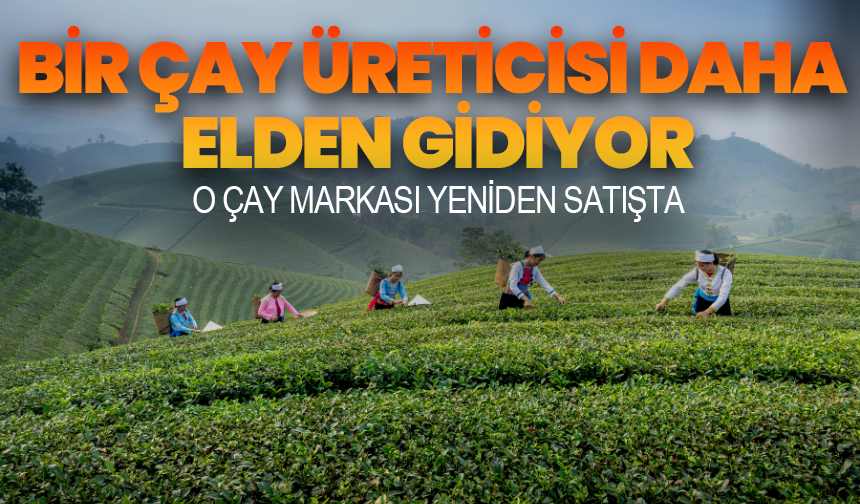 Of Çay Yeniden Satışta: Jde Peet’s Türkiye’deki Çay Operasyonlarına Son Veriyor