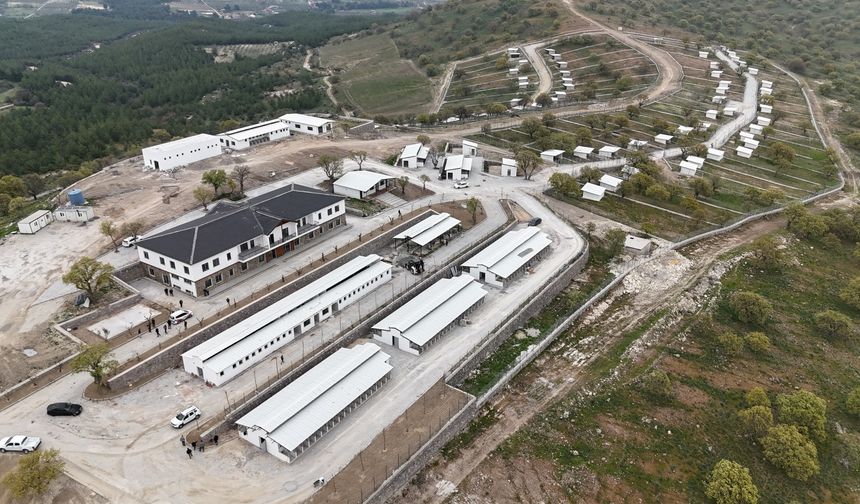 Hayvan yaşam merkezi açılıyor