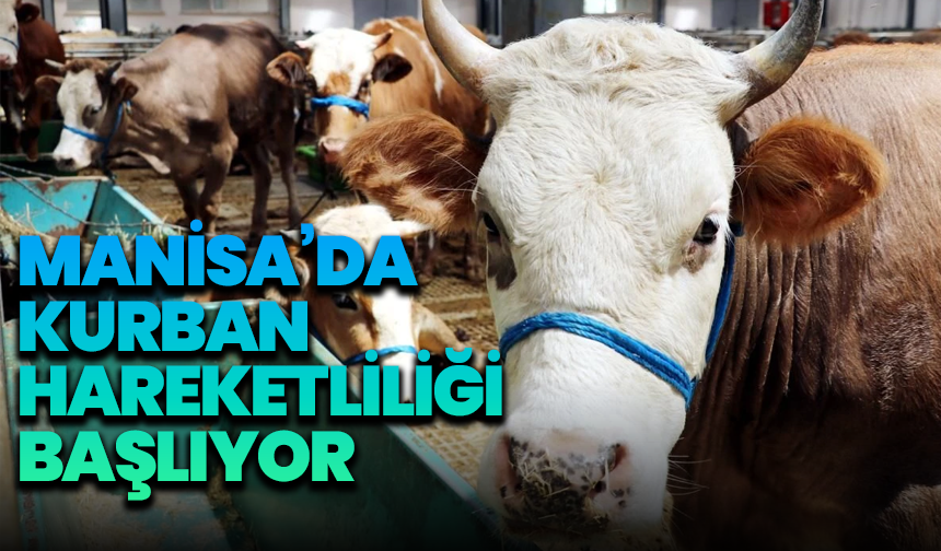Kırkağaç’ta Kurban Hareketliliği Başlıyor: Kotra Satışları 20 Mayıs’ta!