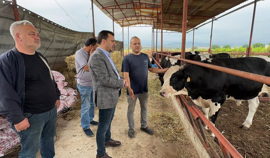 Kurbanlık satışında çözüm ‘taksitli satış’ oldu