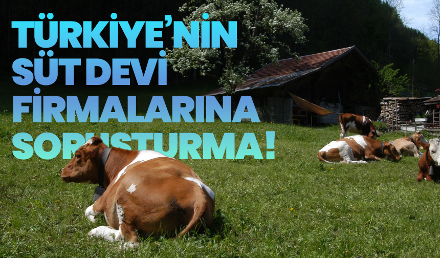 Türkiye’nin Süt Devi Firmalarına Soruşturma!