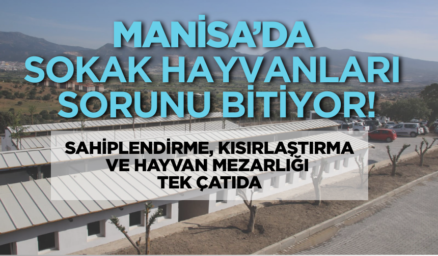 Manisa'da sokak hayvanlarına yeni bir yaşam: 117 dönümlük merkez kapılarını açtı