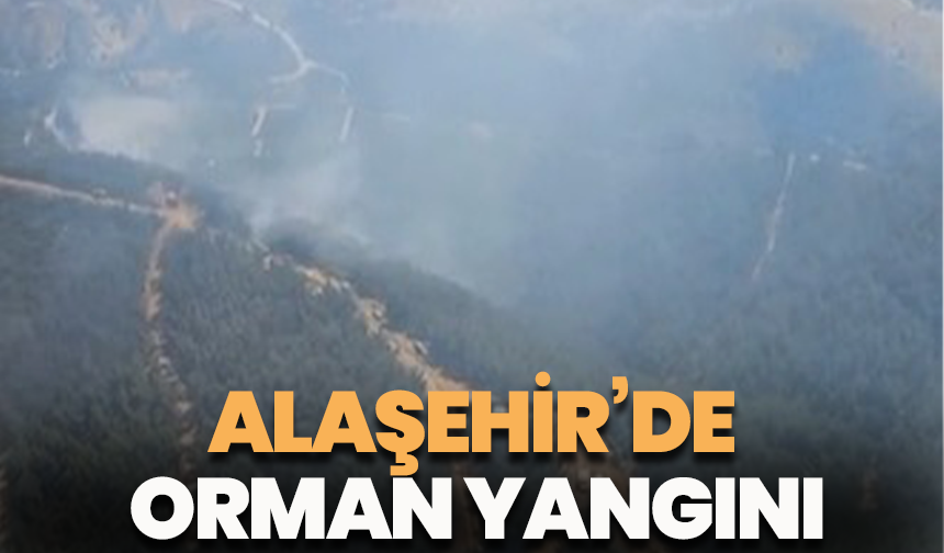Alaşehir’de orman yangını