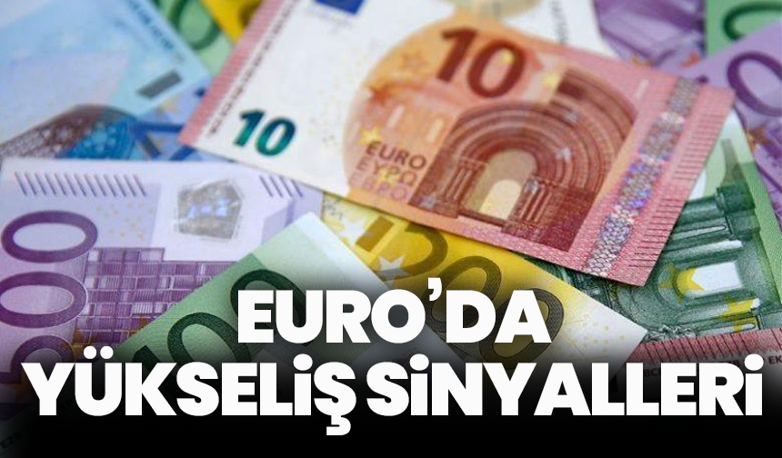 Euro’da Yükseliş Sinyalleri: 1,20 Dolar Seviyesi Masada