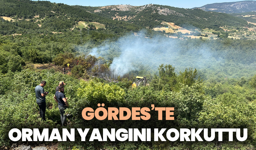 Gördes’te orman yangını korkuttu: Havadan ve karadan müdahale ile kısa sürede kontrol altına alındı