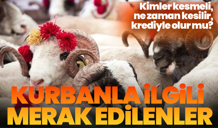 Kurbanla ilgili merak edilenler: Kimler kesmeli, ne zaman kesilir, krediyle olur mu?