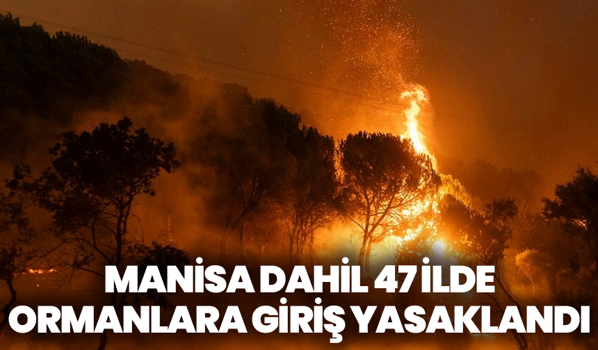 Manisa dahil 47 ilde ormanlara giriş yasaklandı: Yüksek risk nedeniyle sert tedbirler
