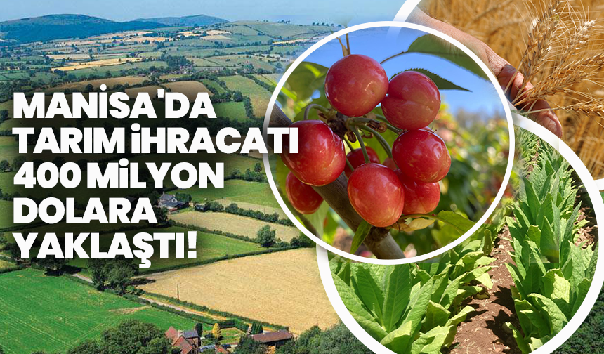Manisa'da tarım ihracatı 400 milyon dolara  yaklaştı!