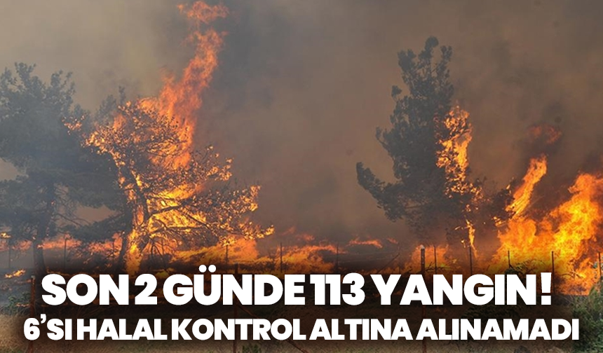 Bakan Yumaklı: Son 2 Günde 113 Yangın! 6’sı Hâlâ Kontrol Altına Alınamadı