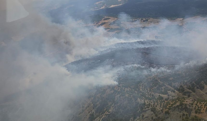 Kula'da orman yangınına hızlı müdahale