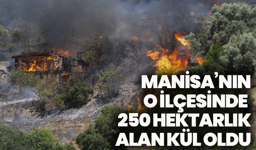Manisa’nın o ilçesinde  250 hektarlık alan kül oldu