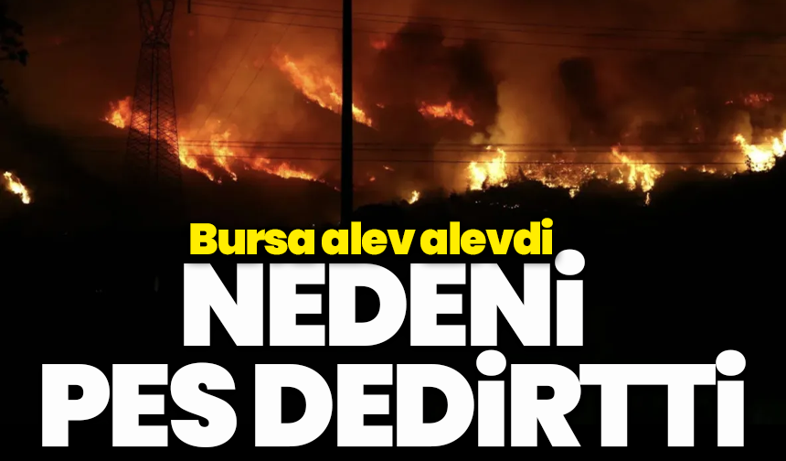 Bursa alev alevdi, nedeni pes dedirtti!