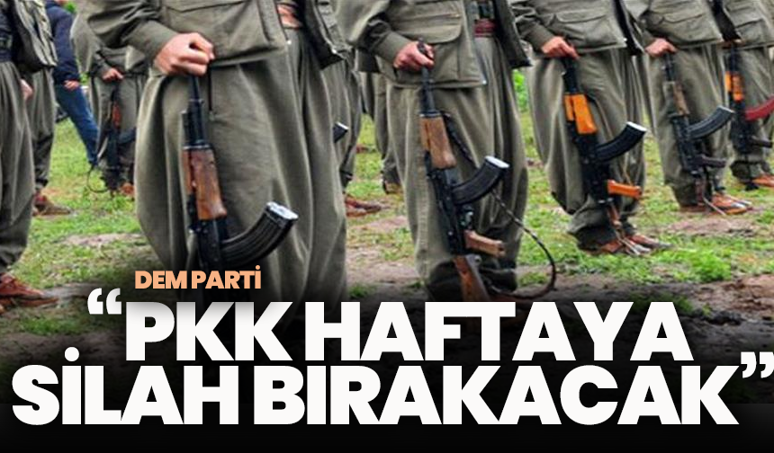 DEM Parti: “PKK Haftaya Silah Bırakacak”